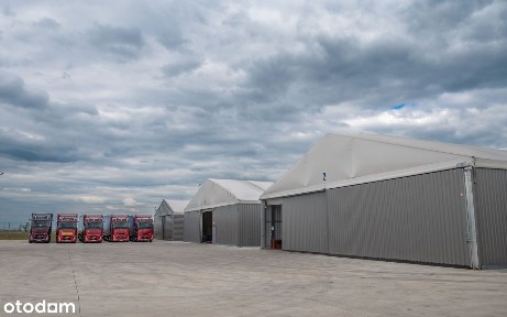 Kompleksowa Oferta Wynajmu Powierzchni Magazynowych z Obsługą log.