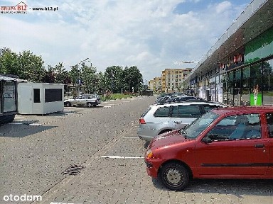 Złocień, Bieżanów-Prokocim, Kraków, małopolskie