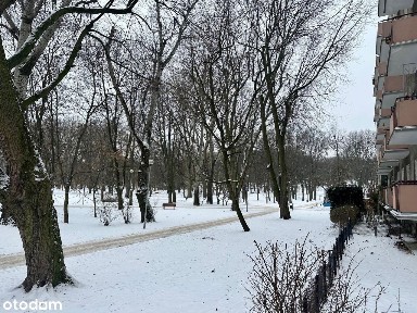 ul. Artura Grottgera, Sielce, Mokotów, Warszawa, mazowieckie