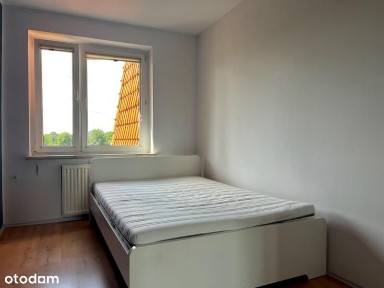 Psie Pole - 2 pokoje do wynajęcia