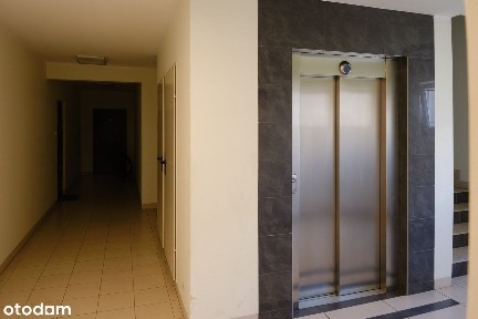 Mieszkanie dla dwóch osób i psa (lub kota)