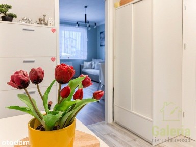 Kijewo, Prawobrzeże, Szczecin, zachodniopomorskie