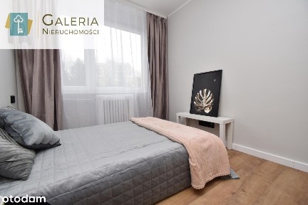 Cztery pokoje, gotowe do wprowadzenia! Po remoncie