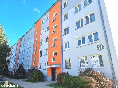 Chełmska 17, Włodawa, włodawski, lubelskie