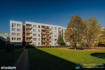 Mieszkanie do wynajęcia