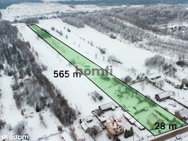 Dom z dużą działką.