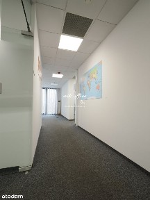 Lokal na wynajem, Wrocław