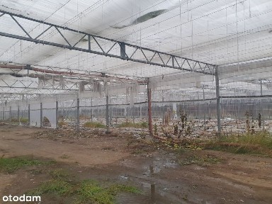 Ruda Pabianicka, Górna, Łódź, łódzkie