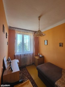 Busko-Zdrój, buski, świętokrzyskie