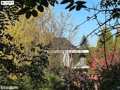 3-pokojowe Z Ogródkiem, Stan Developerski Premium