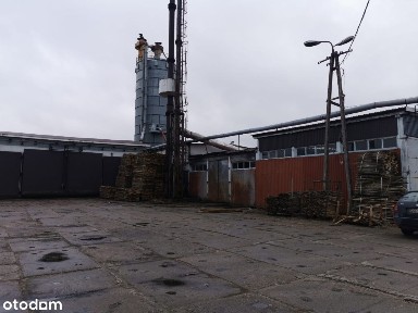 Sitno, Zbójno, golubsko-dobrzyński, kujawsko-pomorskie