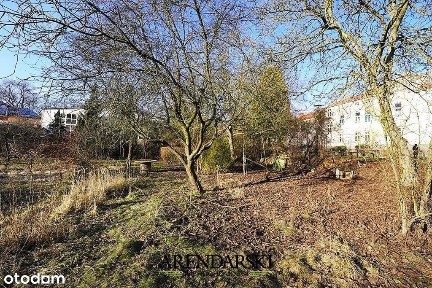 Klimatyczne mieszkanie w kamienicy z ogrodem!