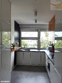 2 pokoje, ścisłe centrum, 2 loggie, winda