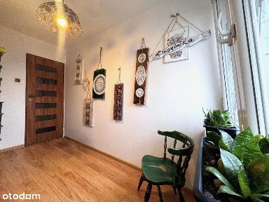 3 pokojowe w centrum