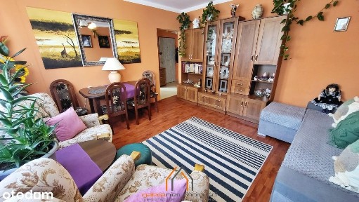 Duży słoneczny salon, nowsze budownictwo, LOGGIA