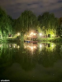 Milicz, milicki, dolnośląskie