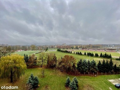 Króla Stanisława Augusta, Rzeszów, podkarpackie
