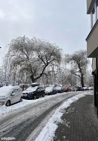 ul. Bohaterów Warszawy, Śródmieście Bielsko, Bielsko-Biała, śląskie