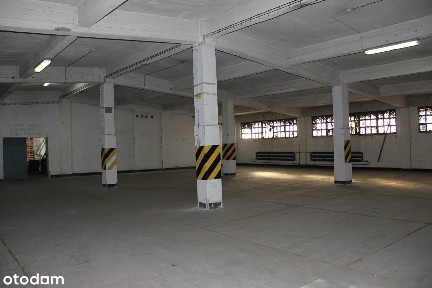 Ptasia, Pogoń, Sosnowiec, śląskie