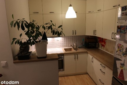 Mysiadło, Lesznowola, piaseczyński, mazowieckie