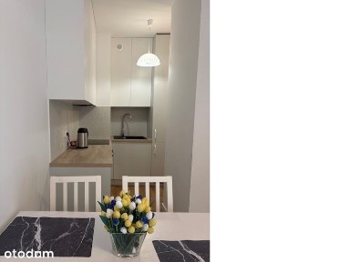 Mieszkanie na wynajem