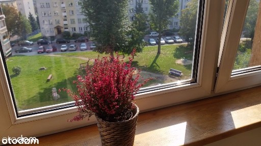 Przytulna i zadbana kawalerka na os. Zubrzyckiego