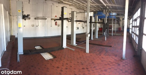 ul. Płowiecka, Marysin Wawerski, Wawer, Warszawa, mazowieckie