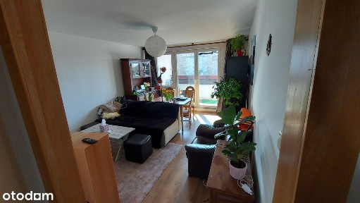 Dąbrowa / Paprykowa / 3 pokoje / 1 piętro / 15m2 piwnica.