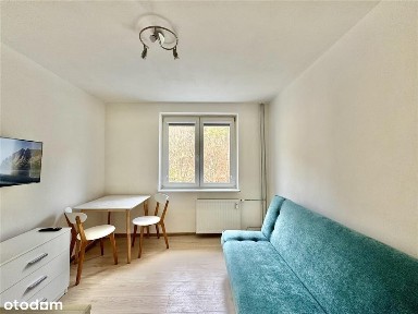 Studio, cały rok, Sopot