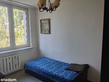 ul. Arabska, Saska Kępa, Praga-Południe, Warszawa, mazowieckie