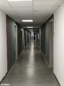 Przestronne biuro 641,68 m² Rybitwy