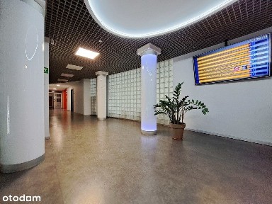 ul. Tadeusza Kościuszki, Centrum, Chorzów, śląskie