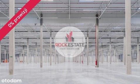 Magazyn 4624 m2 od zaraz - 0% prowizji