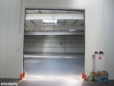 Stare Miasto, Poznań, wielkopolskie