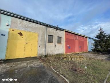 Pomieszczenia użytkowe do wynajęcia w Pile