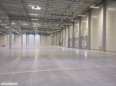 Magazyn na wynajem w Gdyni/ 3500 m2 + 166 m2 biura
