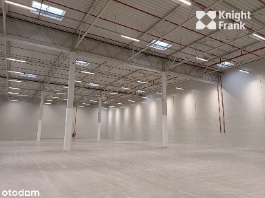 Hala magazynowa 4000 m²/ Gdańsk Port
