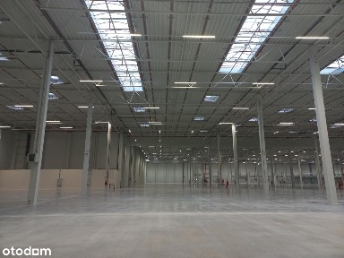 Nowoczesny magazyn na wynajem/ Robakowo k.Poznania/ 30 000 m2