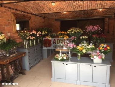 Lokal z działką- Siechnice