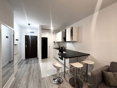 Dwupokojowe mieszkanie Zielona Dolina- Belliniego.