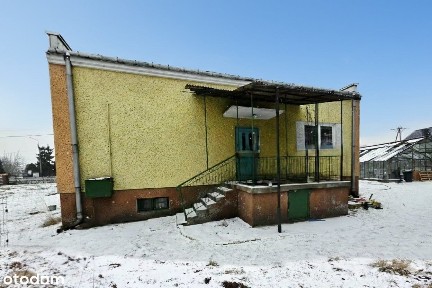 Wsola, Jedlińsk, radomski, mazowieckie