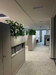 Wynajem powierzchni biurowej 255 m² + magazyn | Bronowice