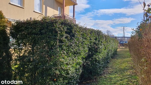 Siechnice, wrocławski, dolnośląskie