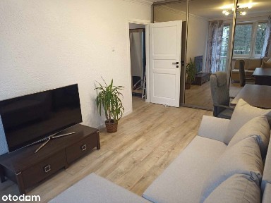 Dwupokojowe mieszkanie, 44m2, ul. Klemensa Junoszy