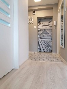 Mieszkanie Płock CENTRUM 2 pokoje