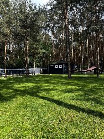 Dom pod lasem 10min od łodzi