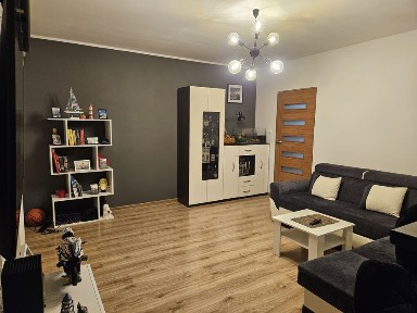 Mieszkanie Zygmuntowska