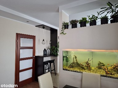 Legnica, dolnośląskie