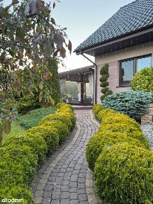 Brzeźno Wielkie, Starogard Gdański, starogardzki, pomorskie