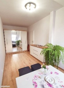 Mieszkanie na wynajem | Dwa pokoje | Oddzielna kuchnia